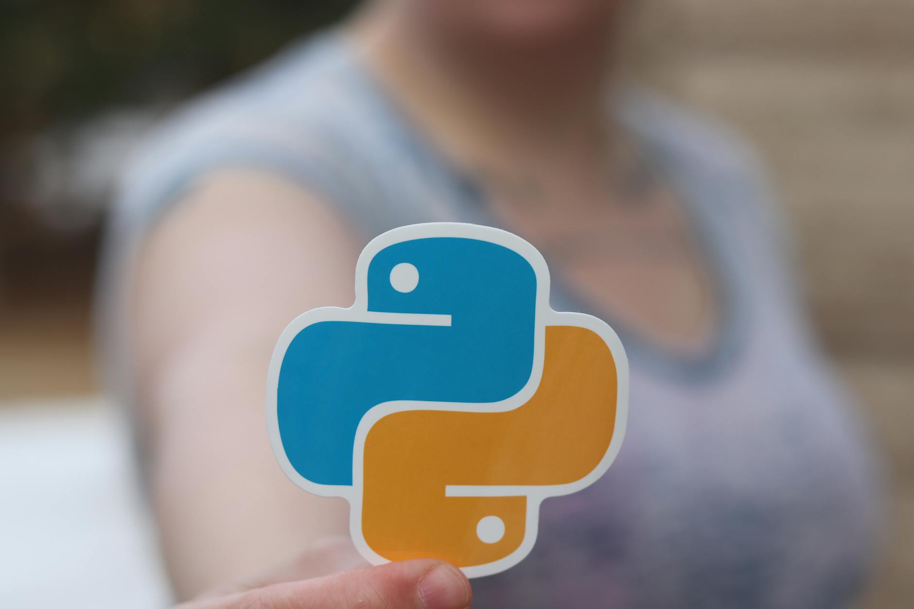 Person holding an orange and blue python sticker.
